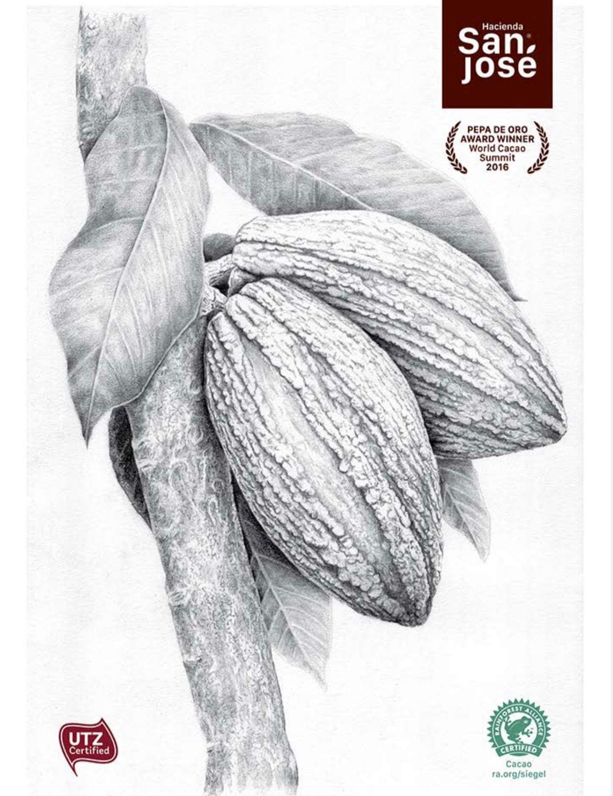 55% Cacao Bar – Smooth Dark Chocolate from Ecuador – 50g