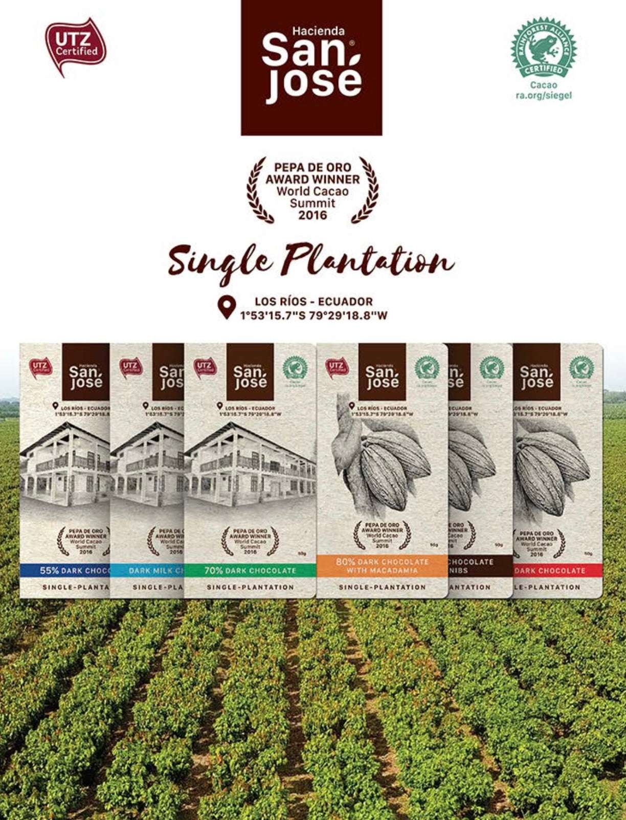 55% Cacao Bar – Smooth Dark Chocolate from Ecuador – 50g
