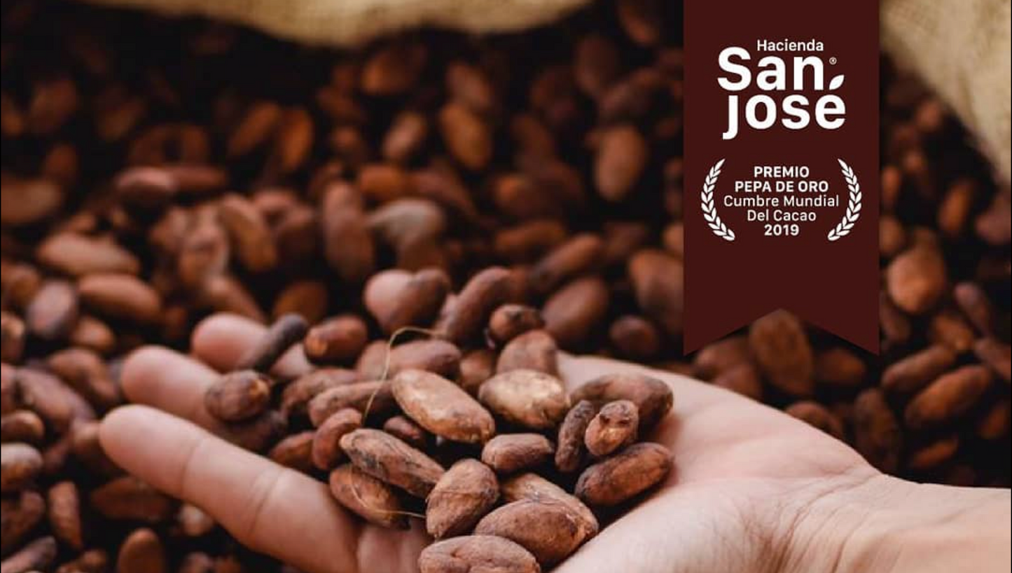 55% Cacao Bar – Smooth Dark Chocolate from Ecuador – 50g